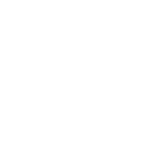 Hi-Point Firearms
